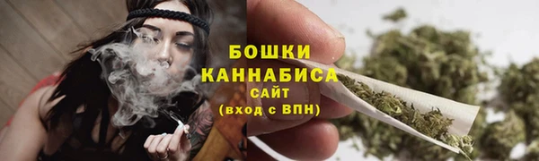 PSILOCYBIN Богородицк